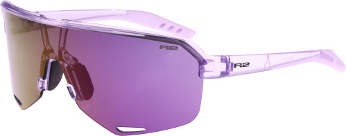 R2 FLUKE AT100Y