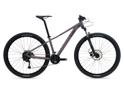 Liv Tempt 29 3 2023