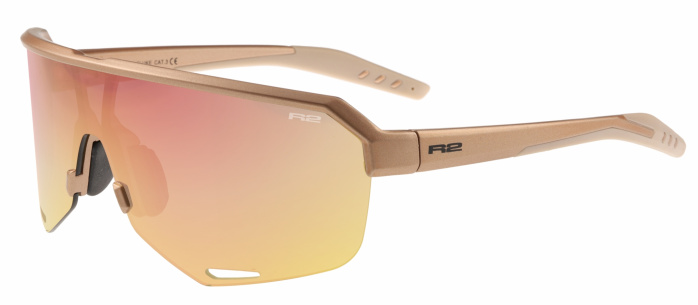detail R2 FLUKE AT100K