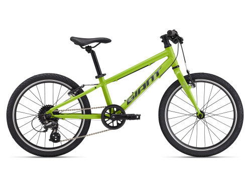 Giant ARX 20