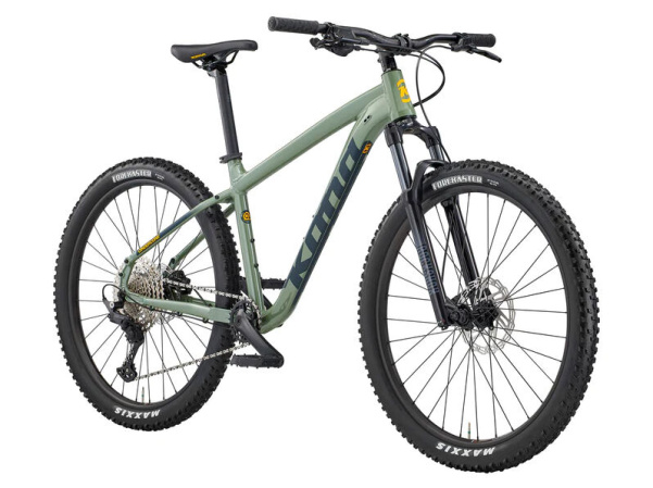 detail Kona Cinder Cone