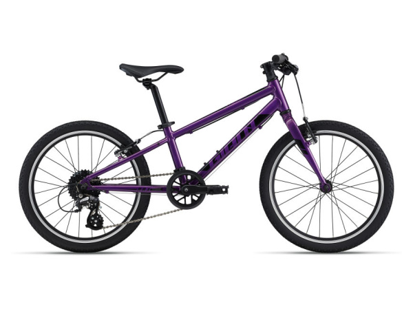 detail Giant ARX 20
