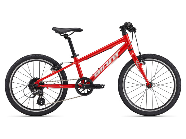 detail Giant ARX 20