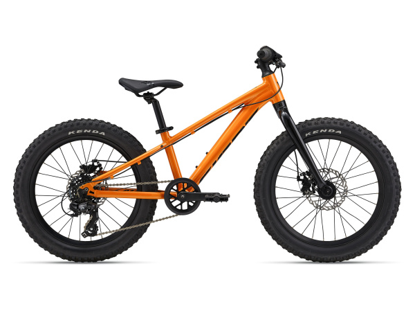 detail Giant STP 20