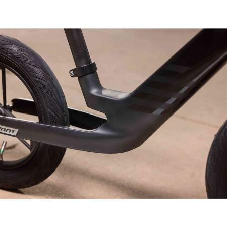 detail Giant PRE rCarbon Push Bike