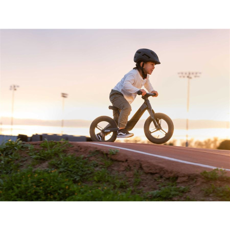 detail Giant PRE rCarbon Push Bike