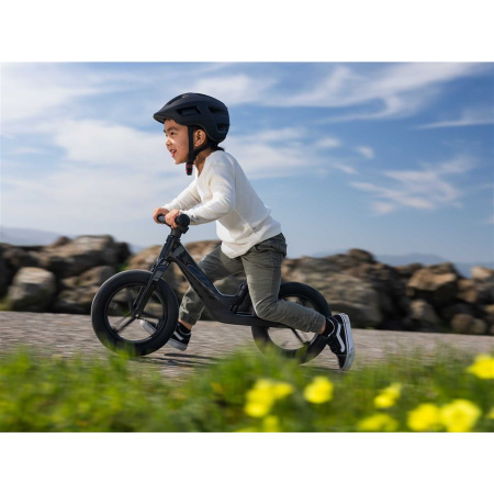 detail Giant PRE rCarbon Push Bike