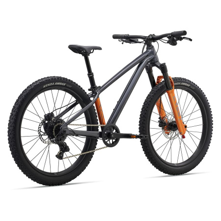 detail Giant STP 24