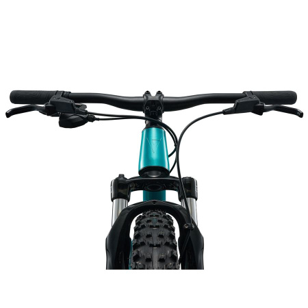 detail Giant STP 20 FS