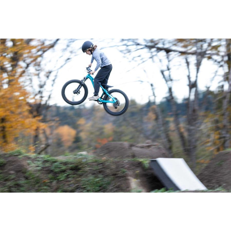 detail Giant STP 20 FS