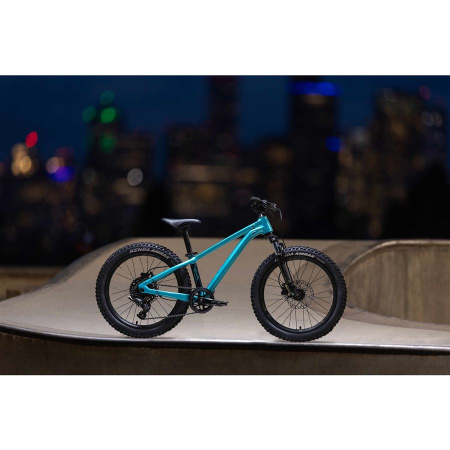 detail Giant STP 20 FS