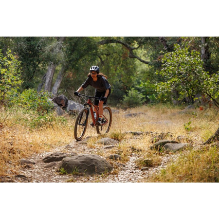 detail Liv Tempt 29 2