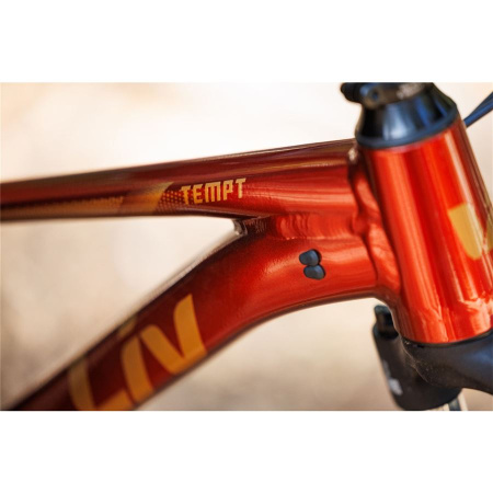 detail Liv Tempt 29 2