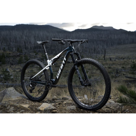 detail Giant Anthem Advanced SL 2