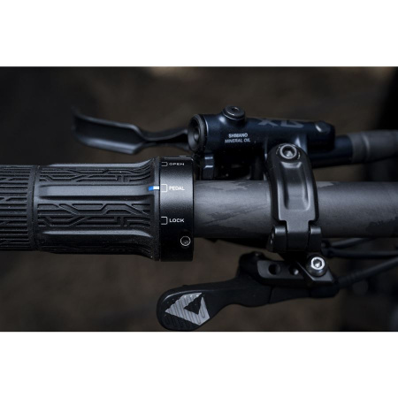 detail Giant Anthem Advanced SL 2