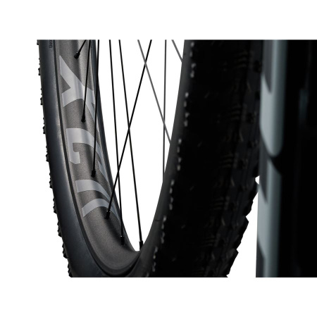 detail Giant Anthem Advanced SL 2