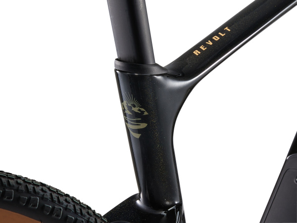 detail GIANT Revolt Advanced 3 2025