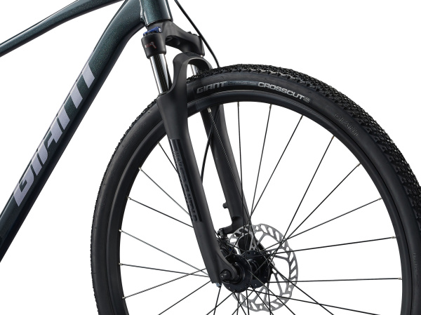 detail Giant Roam 2