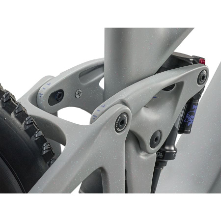 detail Giant Reign Advanced E+ 2