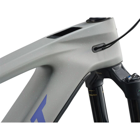 detail Giant Reign Advanced E+ 2