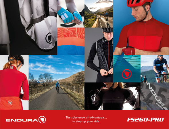 detail Endura FS260-Pro Thermo Bibtight II