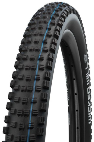 Schwalbe Wicked Will 29