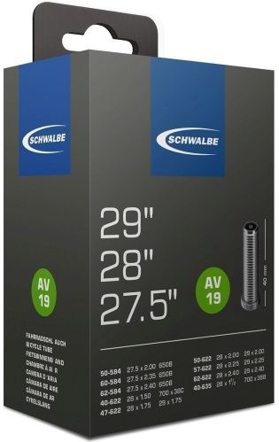 Schwalbe duše 29