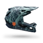 náhled Fox Yth Rampage Image Print