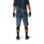 náhled Fox Ranger Short Image Print